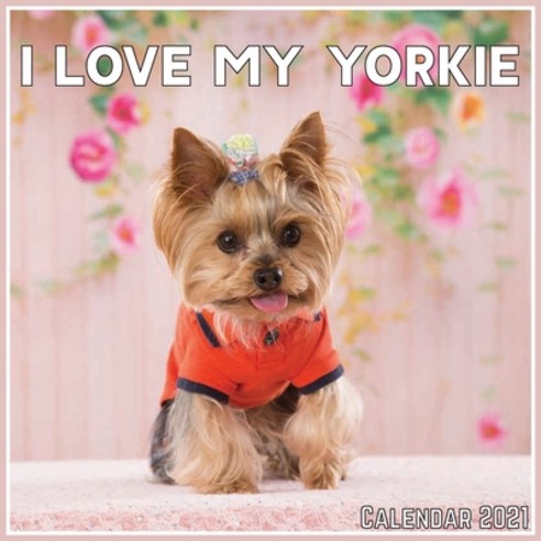 I Love My Yorkie Calendar 2021: Official I Love My Yorkie Calendar 2021 12 Months Paperback, Independently Published, English, 9798702631271