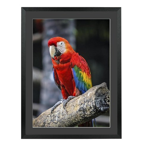 Mxtallup 45.7×55.9cm(18×22인치) 다이아몬드 페인팅 액자 40.6×50.8cm(16×20인치) 아트 디스플레이 그림 40x50cm/매트 포함 또는 45×22인치 20인치디지털액자 Best Top5