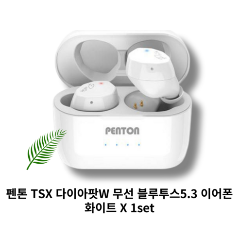 펜톤 TSX 다이아팟 W 블루투스 5.3 이어폰 커널형 버즈, TSX Diapot W, 화이트
