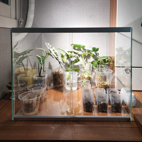 가정용 식물 실내온실 미니온실 비닐하우스 유리 베란다 온실 온실장, 샤인 45 x 45 x 45 2문, 1개