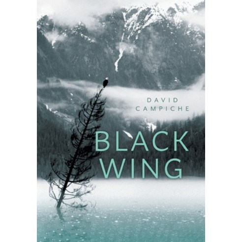 (영문도서) Black Wing Hardcover, FriesenPress, English, 9781039141469