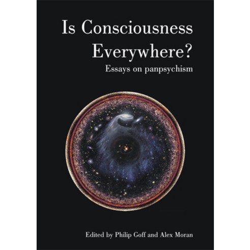 (영문도서) Is Consciousness Everywhere?: Essays on Panpsychism Paperback, Imprint Academic, English, 9781788360876