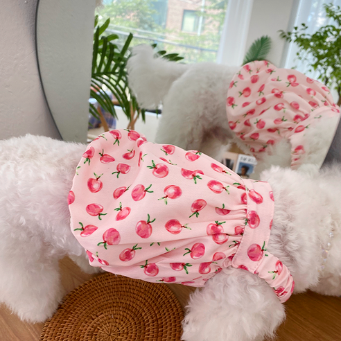 데댕 피치블라썸 벌룬티 강아지옷(2color), 핑크