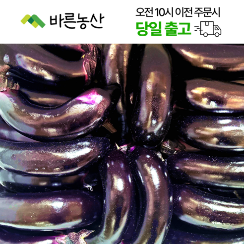 < 바른농산 > 국내산 햇가지 못난이 상품 - 가지 | 쿠팡