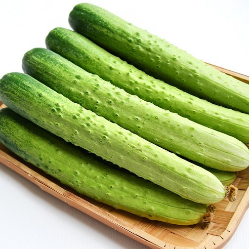 국내산 백다다기 오이, 1박스, 5kg