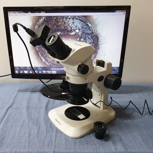 컨비젼 올림푸스 실체현미경 SZ61-편광 LED 조명 + 5M 카메라, 1개