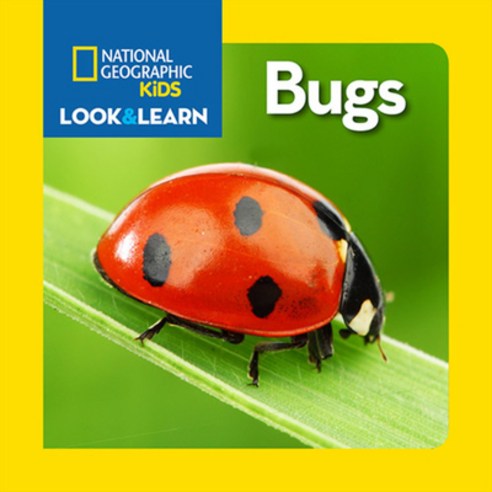 (영문도서) National Geographic Kids Look and Learn: Bugs Board Books, English, 9781426318764