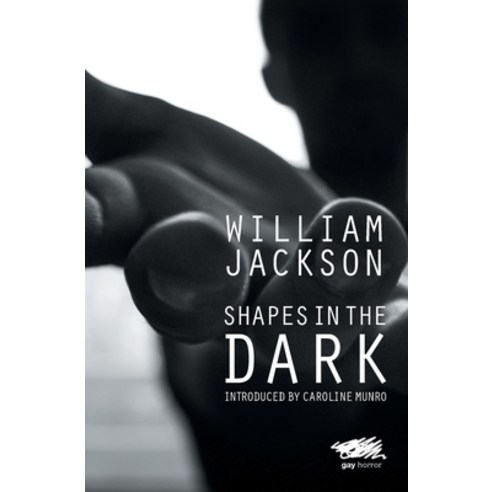 (영문도서) Shapes in the Dark Paperback, Martin Firrell Company, English, 9781912622337