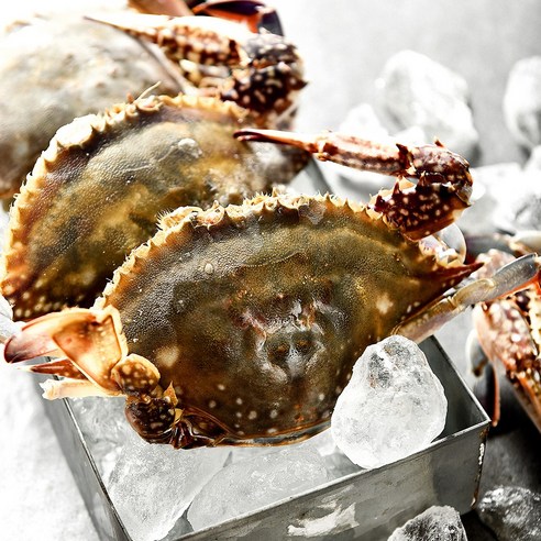 오늘 저녁, 잃어버린 입맛 되찾아줄 마법! 알꽉찬 암꽃게 이야기 활암꽃게