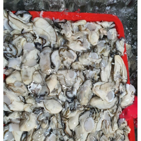 통영의 진미, 프리미엄 생굴