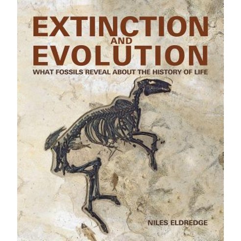 (영문도서) Extinction and Evolution: What Fossils Reveal about the History of Life Paperback, Firefly Books, English, 9780228101871