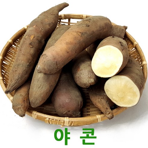 국내산 야콘10kg 생야콘 웰빙푸드 싱싱지오, 국내산 생야콘(특품)10kg, 1개