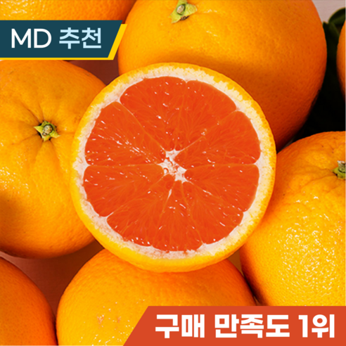 카라카라 오렌지 고당도 프리미엄 orange, 1박스, 중과 20과수 오렌지크러쉬rtu