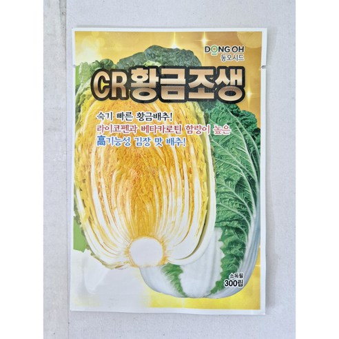 김장 맛 배추 라이코펜 베타카로틴 황금배추 씨앗 배추씨 CR황금조생 300립