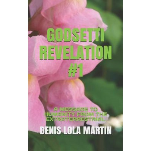(영문도서) Godsetti Revelation #1: A Message to Humanity from the Extraterrestrial Paperback, Independently Published, English, 9781729227848