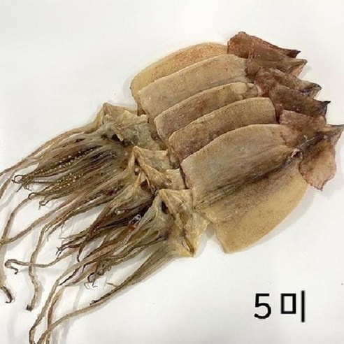 기타 [RGL7R841]SM 영덕축산항 마른 건오징어 5미