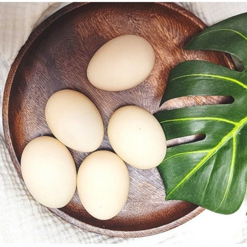 기러기알, 지친 당신의 하루에 활력을 불어넣어 줄 비밀병기!