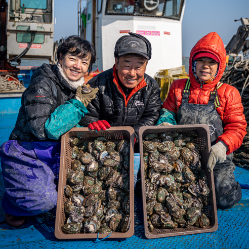 진도아라전복 직영 생산자직송 활 전복 2Kg, 대복 10~11마리(키로당), 1개