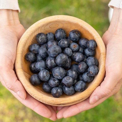 생 블루베리 blueberry 100g, 4개