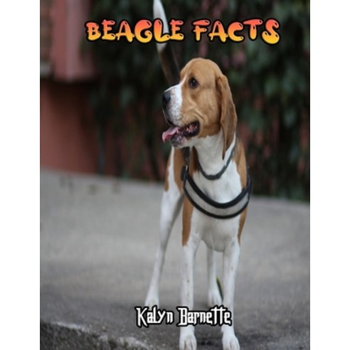 Beagle Facts: BEAGLE fact for girl age 1-10 BEAGLE fact for boy age 1-10 facts about all about BEAGLE Paperback, Independently Published, English, 9798712561803
