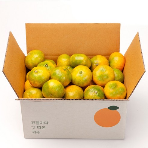 깨비농원 고당도 하우스감귤, 1.5kg(2S~M), 1박스