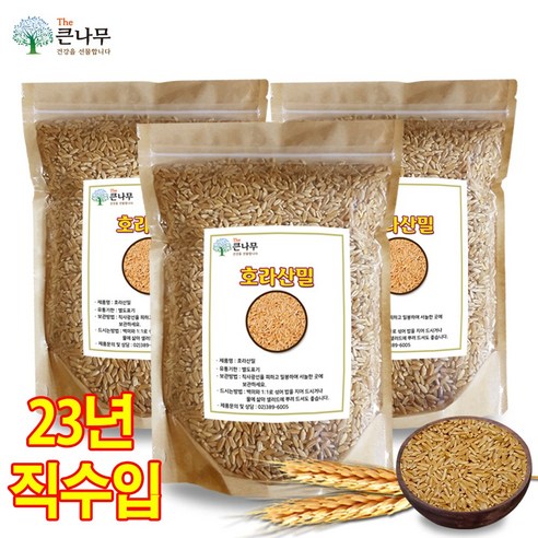 The큰나무 터키산 호라산밀, 1kg, 3팩