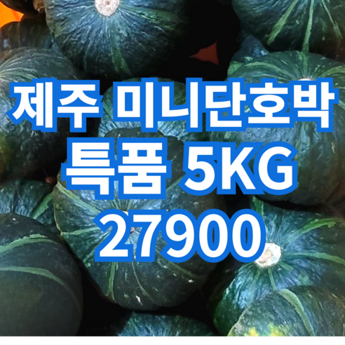푸왕 제주 보우짱 미니단호박 산지직송 특품 (내일마감 선착순100개), 1박스, 5kg(10-15개), 로얄