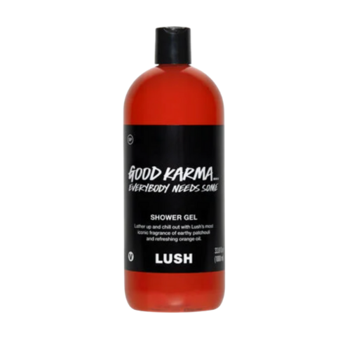 러쉬 캐나다 샤워젤 250ml LUSH SHOWER GEL 250ml, 굿 카르마 에브리바디 니즈썸(1000ml), 1개