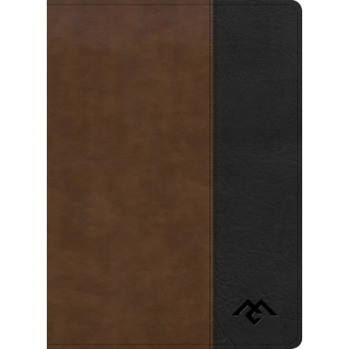 CSB Men of Character Bible Brown/Black Leathertouch Indexed Imitation Leather, Holman Bibles