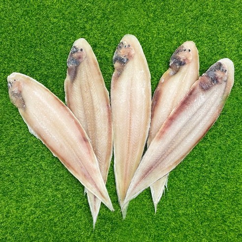 밥상 고민 해결! 마법처럼 밥도둑 소환하는 수산대장 반건조 박대