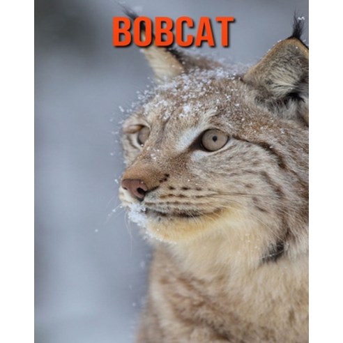 Bobcat: Incredible Pictures and Fun Facts about Bobcat Paperback, Independently Published, English, 9798694316323