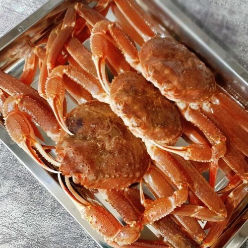 꽉 찬 살, 넘치는 행복! 영덕대게로 즐기는 특별한 식탁 영덕대게