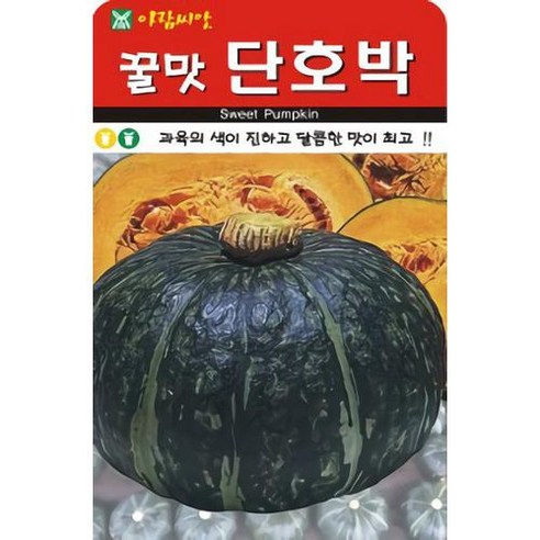 AR 꿀맛 단호박 씨앗 10립