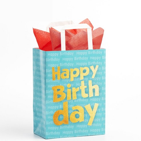 KW코퍼레이션 예쁜 선물용 생일 종이가방 종이백 10p, 1세트, H.D.B블루