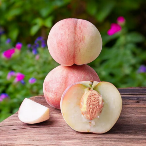 아삭한 식감과 시원한 단맛, 우리애진농장 딱복숭아로 일상에 행복을 더하다!