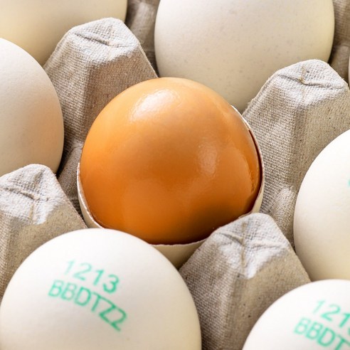 [HACCP] 난각번호 2번 백색 구운 유정란 초란, 60구, 1개