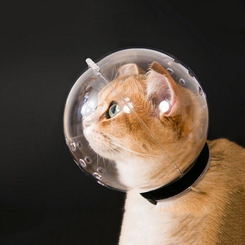 가또나인 고양이 우주 헬멧 입마개, M, 1개