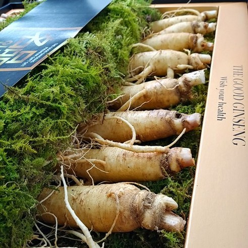 매일의 건강을 선물하는 더굿진생 인삼선물세트