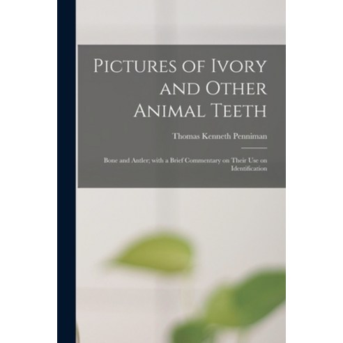 (영문도서) Pictures of Ivory and Other Animal Teeth: Bone and Antler; With a Brief Commentary on Their U... Paperback, Hassell Street Press, English, 9781014061102