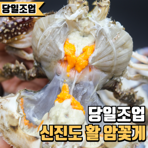 싱싱한 봄꽃게, 집에서 즐기는 풍성한 알과 달콤한 맛!