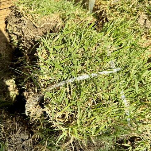 삭막한 공간을 초록빛 힐링 공간으로!