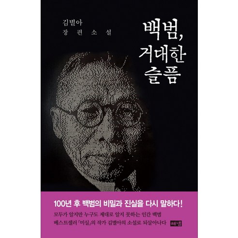 백범 거대한 슬픔:김별아 장편소설, 해냄출판사