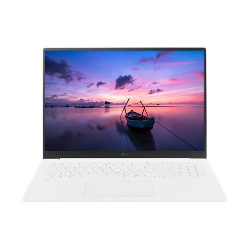 LG전자 그램 프로17 17ZD90SP-EX59K / skit, WIN11 Home, 32GB, 8TB, 에센스 화이트 lg그램