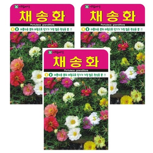 채송화 씨앗 3개입 관상용 야생화 꽃씨, 1개