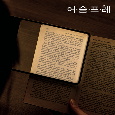 어둠을 밝히는 지혜의 빛, 어슴프레 북라이트