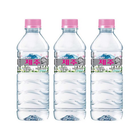 [제트 스카이] 휘오 제주 V워터, 500ml, 20개