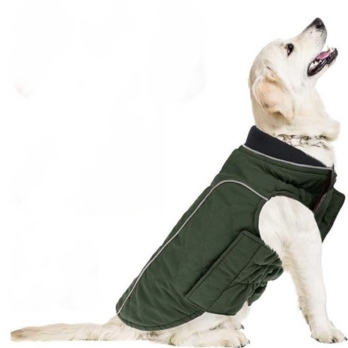 겨울철 반려견을 위한 필수 아이템