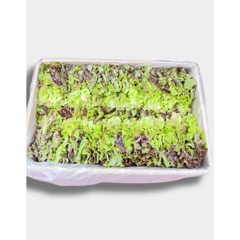 애초야 꽃상추 상추 맛있는 싱싱 산지직송 당일수확 제철 신선한채소 국내산 2kg, 2kg, 1