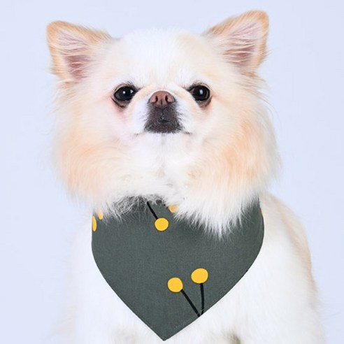 아이즈펫 강아지 고양이 코튼 양면스카프 케이프 애견용품 턱받이, 1개, 옐로우체리