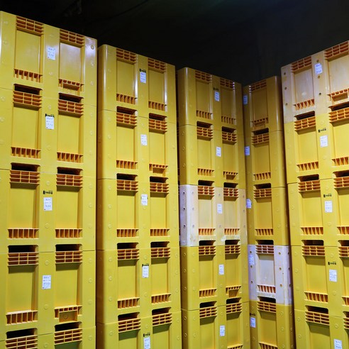 시간과 정성이 빚어낸 깊은 맛, 100% 국산 전라도 숙성 묵은지